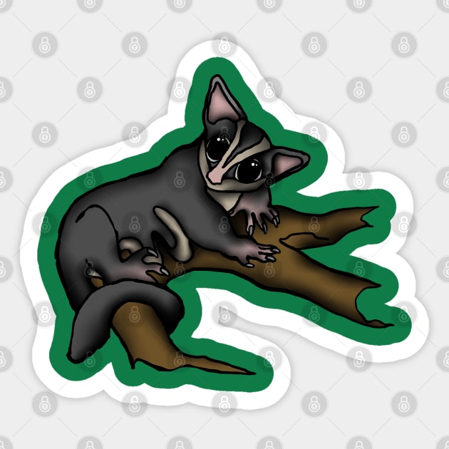 Climbing Sugar Glider Sticker by Zodiart